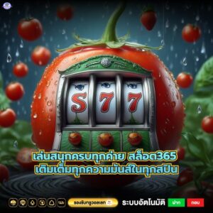 เล่นสนุกครบทุกค่าย สล็อต365 เติมเต็มทุกความมันส์ในทุกสปิน